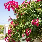 Bed and Breakfast Moby Dick Colares Σίντρα